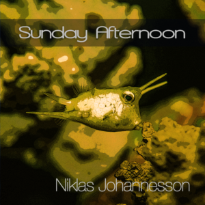 Image record cover Sunday Afternoon - Niklas Johannesson